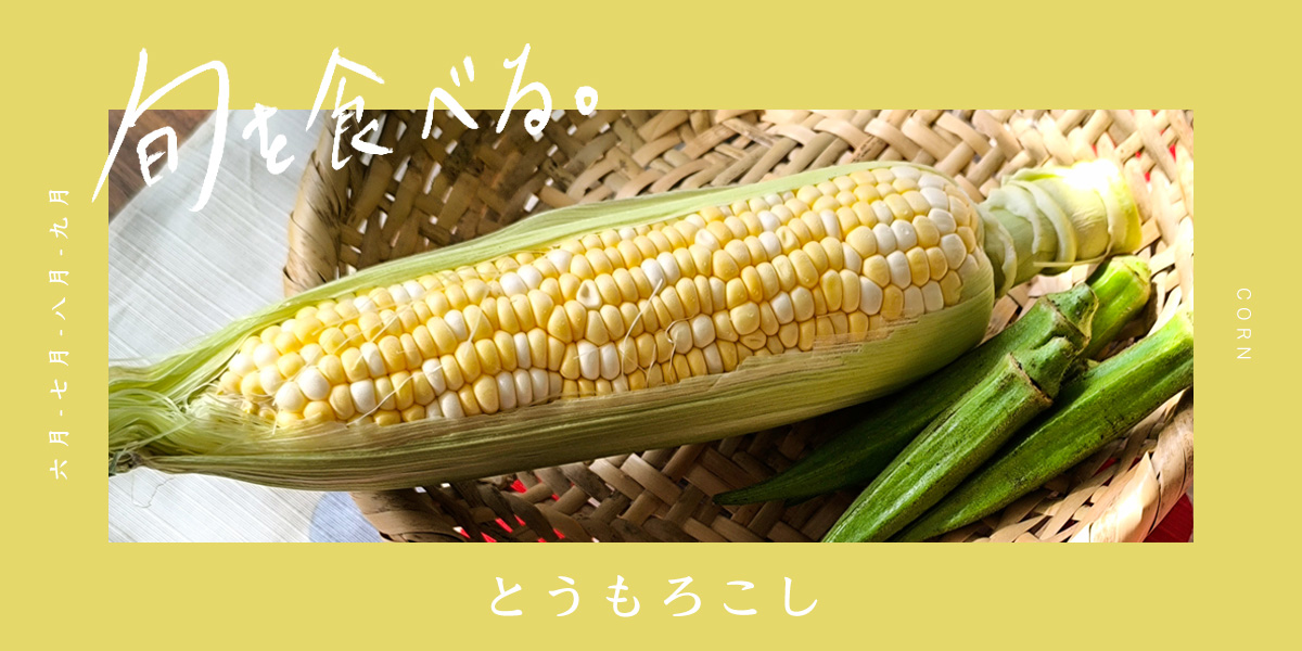 旬を食べる：とうもろこし