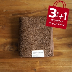 ■【3＋1枚プレゼント】ココチエナ　フェイスタオル　ブラウン　34×80cm　/　cocochiena