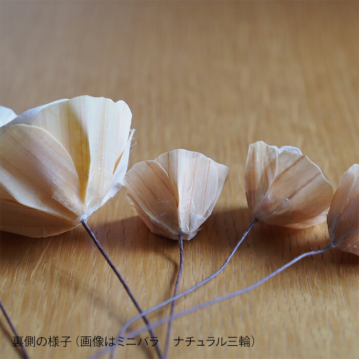 木のお花　かなばフラワー　ミニバラ　季節の小花三輪　/　土佐草木花